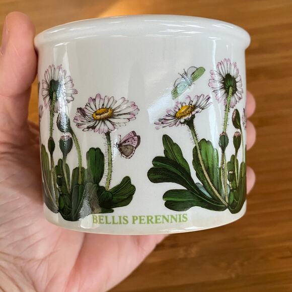 Portmeirion The Botanic Garden BELLIS PERENNIS White Ramekin - Picture 4 of 7